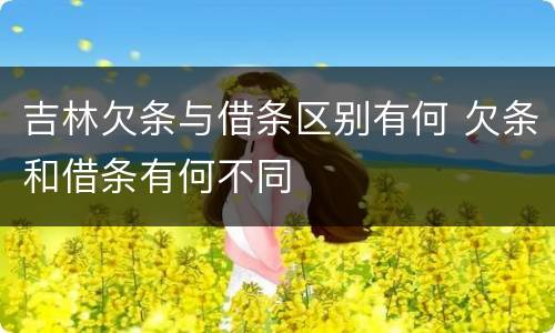吉林欠条与借条区别有何 欠条和借条有何不同