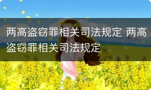 两高盗窃罪相关司法规定 两高盗窃罪相关司法规定