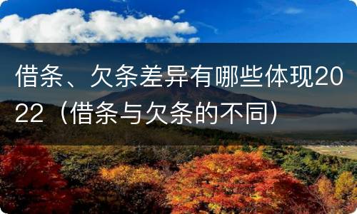 借条、欠条差异有哪些体现2022（借条与欠条的不同）