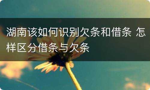 湖南该如何识别欠条和借条 怎样区分借条与欠条