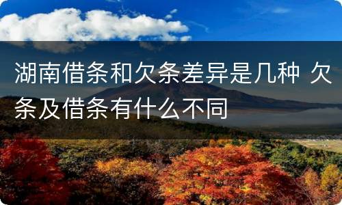 湖南借条和欠条差异是几种 欠条及借条有什么不同