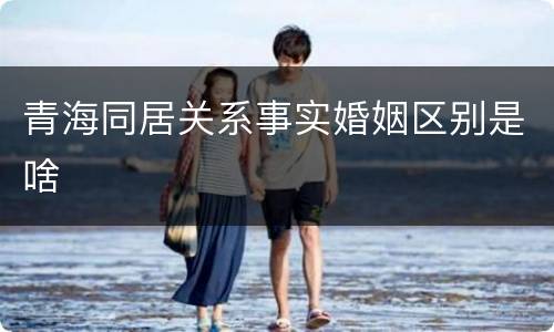 青海同居关系事实婚姻区别是啥