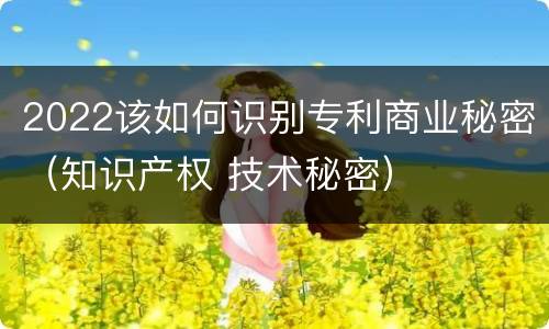 2022该如何识别专利商业秘密（知识产权 技术秘密）