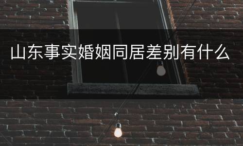 山东事实婚姻同居差别有什么