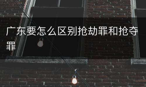 广东要怎么区别抢劫罪和抢夺罪