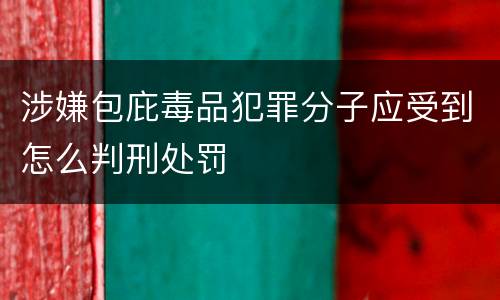 涉嫌包庇毒品犯罪分子应受到怎么判刑处罚
