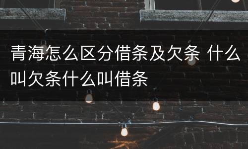 青海怎么区分借条及欠条 什么叫欠条什么叫借条