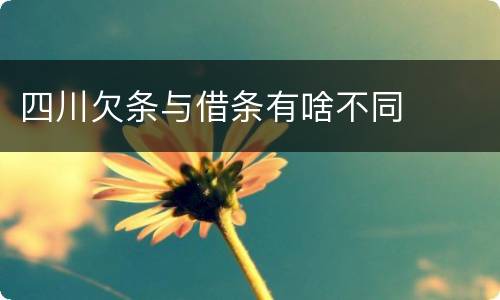 四川欠条与借条有啥不同