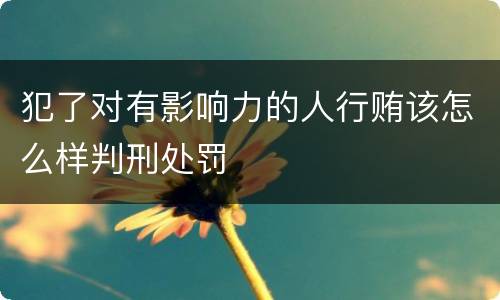 犯了对有影响力的人行贿该怎么样判刑处罚