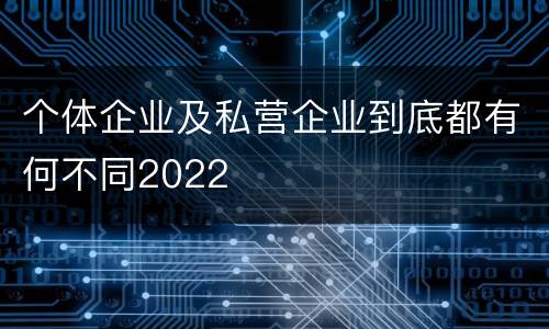 个体企业及私营企业到底都有何不同2022