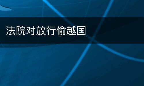 法院对放行偷越国