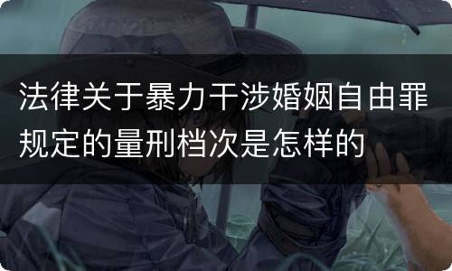 法律关于暴力干涉婚姻自由罪规定的量刑档次是怎样的