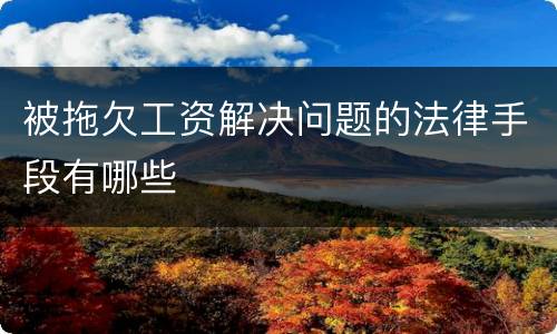 被拖欠工资解决问题的法律手段有哪些
