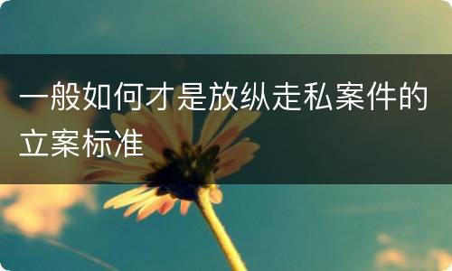 一般如何才是放纵走私案件的立案标准
