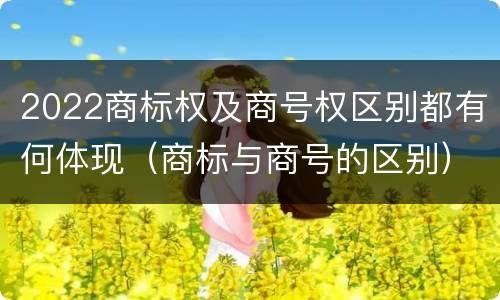 2022商标权及商号权区别都有何体现（商标与商号的区别）