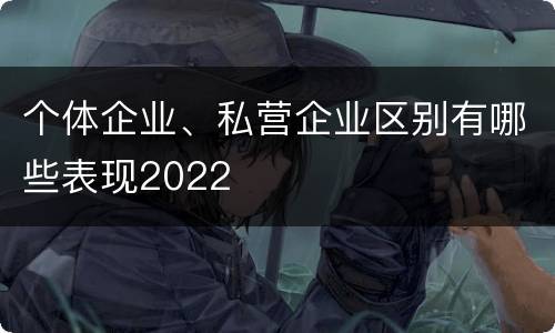 个体企业、私营企业区别有哪些表现2022