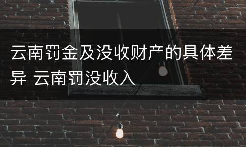 云南罚金及没收财产的具体差异 云南罚没收入