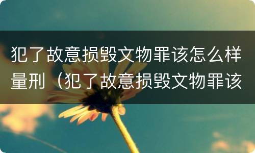 犯了故意损毁文物罪该怎么样量刑（犯了故意损毁文物罪该怎么样量刑呢）