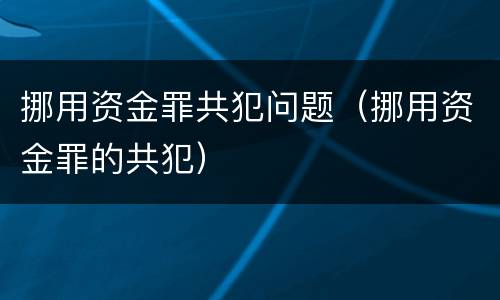挪用资金罪共犯问题（挪用资金罪的共犯）