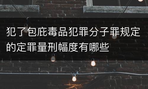 犯了包庇毒品犯罪分子罪规定的定罪量刑幅度有哪些
