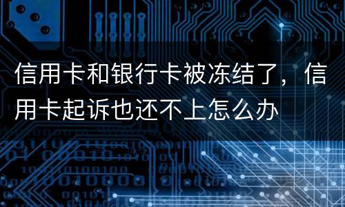 信用卡和银行卡被冻结了，信用卡起诉也还不上怎么办