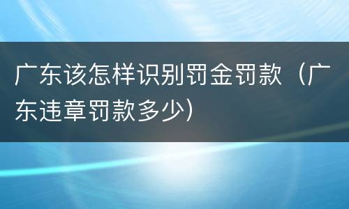 广东该怎样识别罚金罚款（广东违章罚款多少）