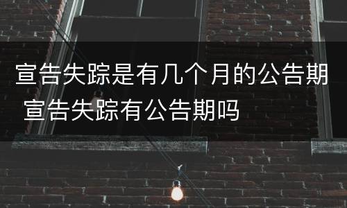 宣告失踪是有几个月的公告期 宣告失踪有公告期吗