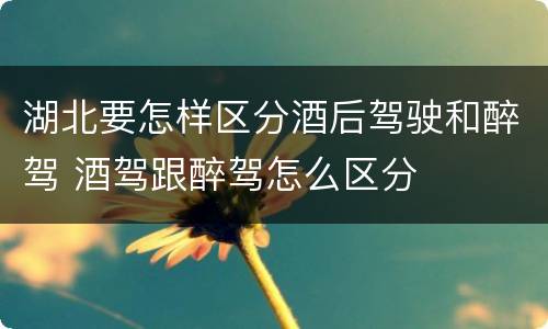 湖北要怎样区分酒后驾驶和醉驾 酒驾跟醉驾怎么区分
