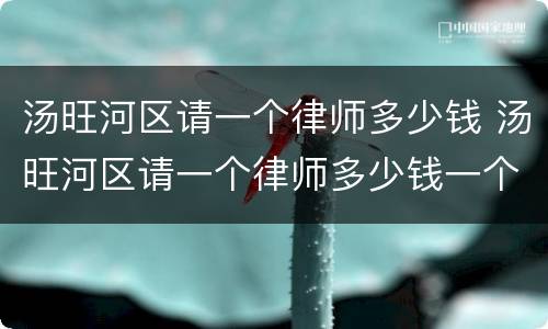 汤旺河区请一个律师多少钱 汤旺河区请一个律师多少钱一个月