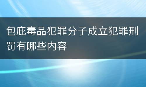 包庇毒品犯罪分子成立犯罪刑罚有哪些内容