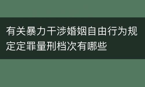有关暴力干涉婚姻自由行为规定定罪量刑档次有哪些