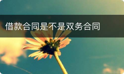 借款合同是不是双务合同