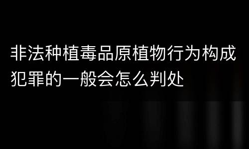 非法种植毒品原植物行为构成犯罪的一般会怎么判处