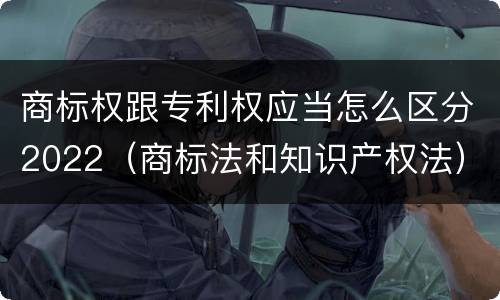 商标权跟专利权应当怎么区分2022（商标法和知识产权法）