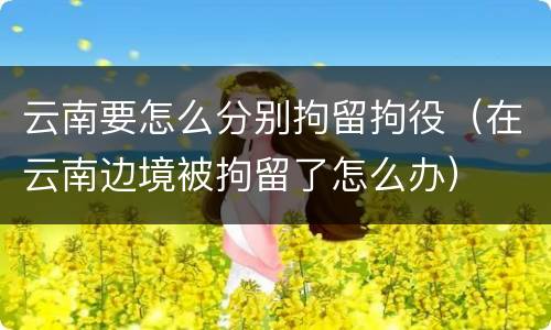 云南要怎么分别拘留拘役（在云南边境被拘留了怎么办）