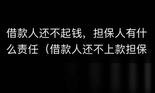 借款人还不起钱，担保人有什么责任（借款人还不上款担保人承担的责任）