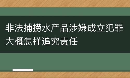 非法捕捞水产品涉嫌成立犯罪大概怎样追究责任
