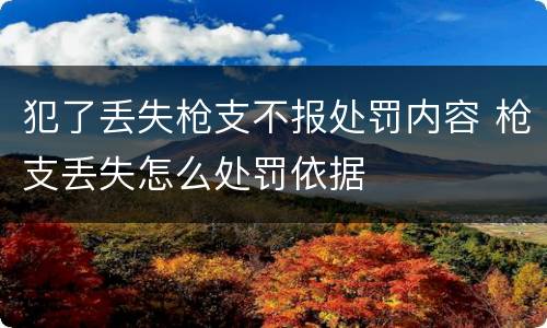 犯了丢失枪支不报处罚内容 枪支丢失怎么处罚依据
