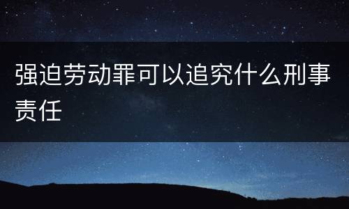 强迫劳动罪可以追究什么刑事责任