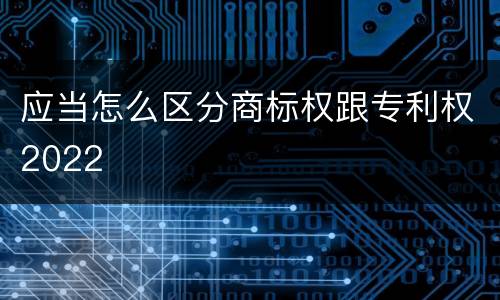 应当怎么区分商标权跟专利权2022