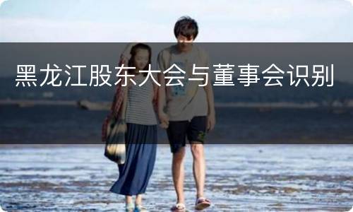 黑龙江股东大会与董事会识别