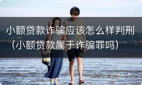 小额贷款诈骗应该怎么样判刑（小额贷款属于诈骗罪吗）