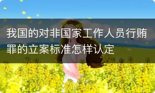 我国的对非国家工作人员行贿罪的立案标准怎样认定