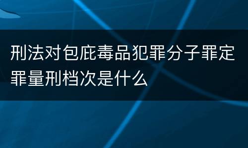 刑法对包庇毒品犯罪分子罪定罪量刑档次是什么