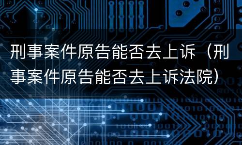 刑事案件原告能否去上诉（刑事案件原告能否去上诉法院）