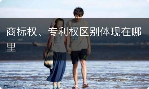 商标权、专利权区别体现在哪里