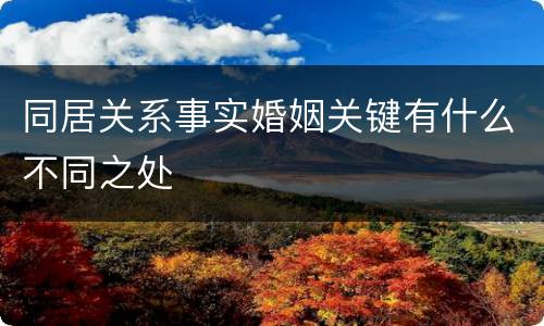 同居关系事实婚姻关键有什么不同之处