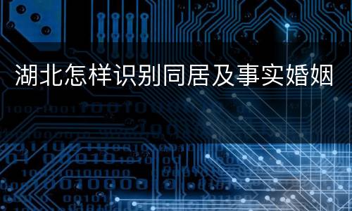 湖北怎样识别同居及事实婚姻