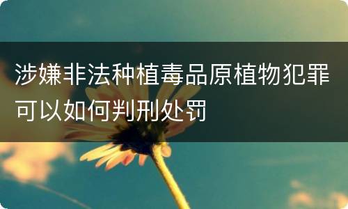 涉嫌非法种植毒品原植物犯罪可以如何判刑处罚