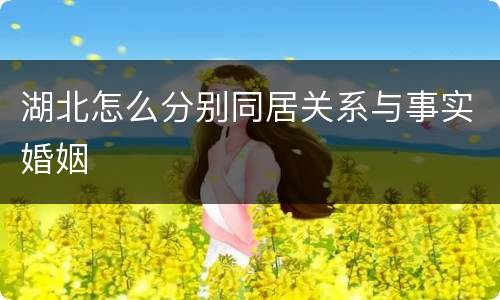 湖北怎么分别同居关系与事实婚姻
